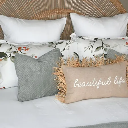 Logustine * Carcassonne