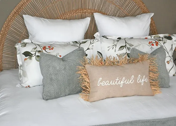 Logustine * Carcassonne