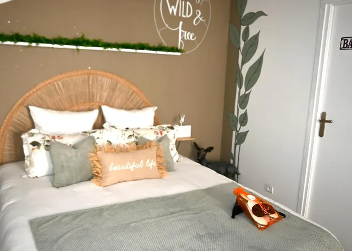 Logustine Carcassonne