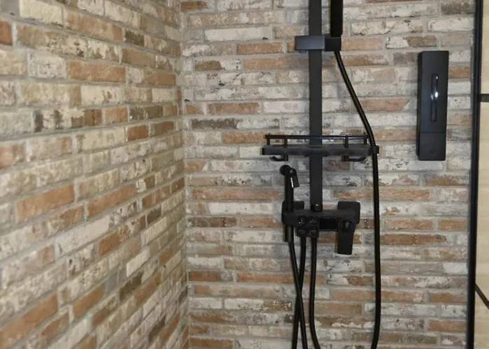 Logustine * Carcassonne